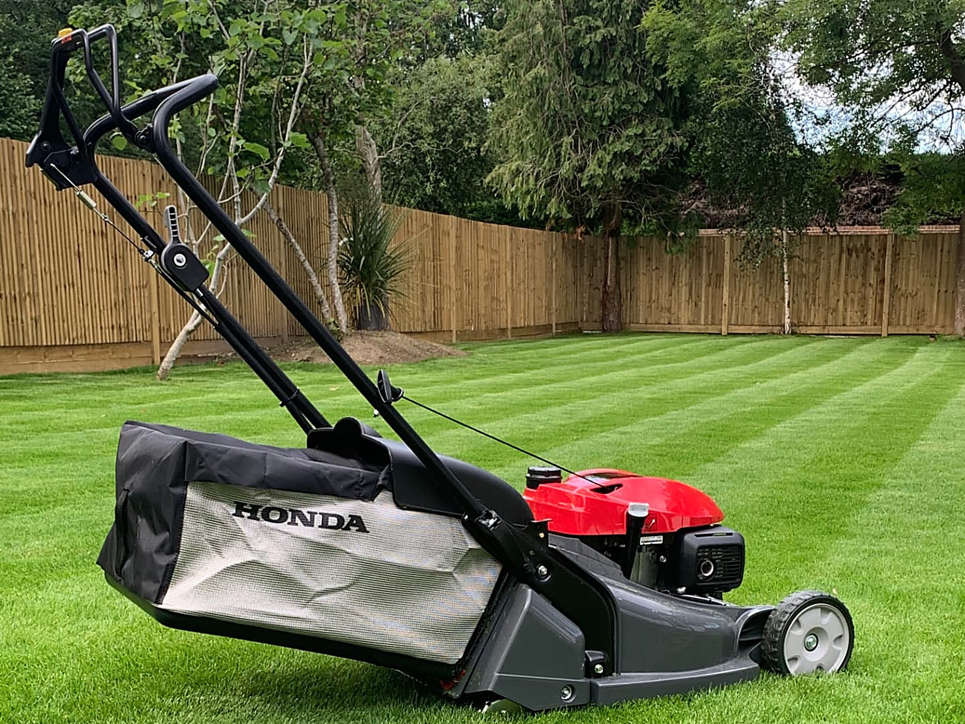 A striped mown lawn in front of a wooden boundary fence and mature trees, with a walk-behind mower resting on the turf