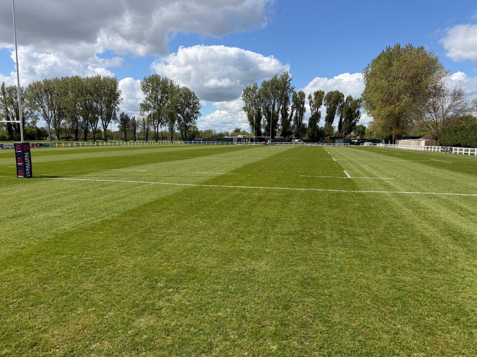 A striped, line-marked grass sports pitch with a padded goalpost, low perimeter fencing and a row of tall trees